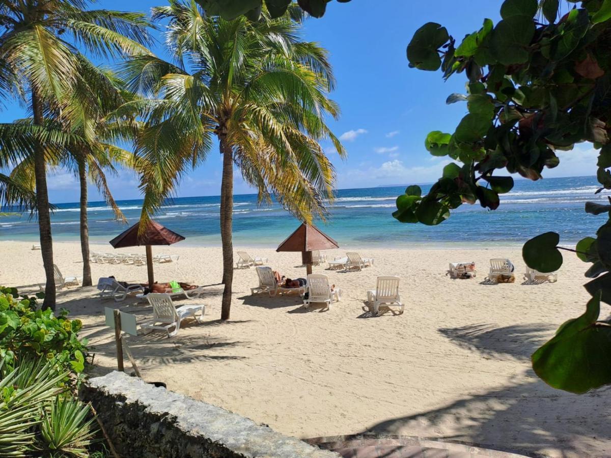 Studio Avec Vue Mer Exceptionnelle, Plage Et Piscine, Village Vacances Sainte-Anne Екстериор снимка